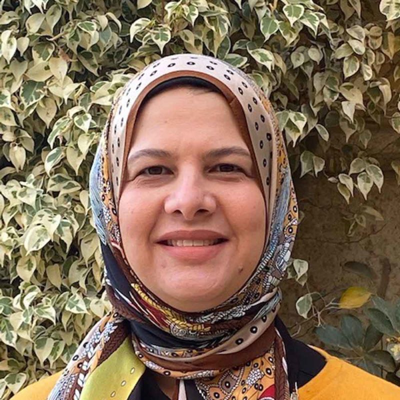 Rania Miniesy - Associate Professor of Economics